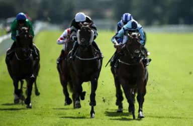 Today's Horse Racing Tips: Sunday May 15th