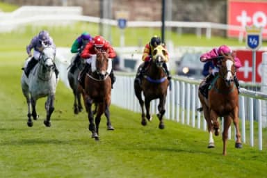 Today's Horse Racing Tips: Wednesday May 4th