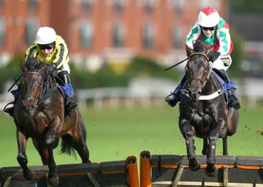 Today's Horse Racing Tips: Monday March 14th