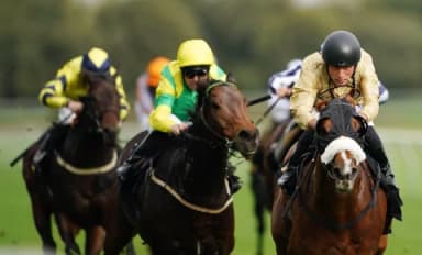 Today's Horse Racing Tips: Wednesday April 6th