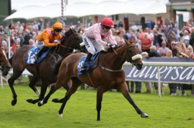 Today's Horse Racing Tips: Wednesday May 11th