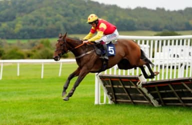 Monday's Horse Racing Tips: Ludlow, November 25th