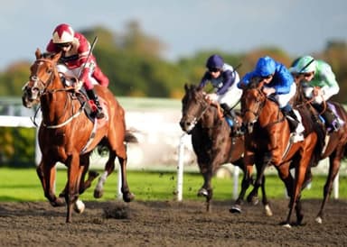 Monday's Horse Racing Tips: Kempton, November 11th