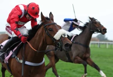 Saturday’s Horse Racing Tips: Sandown, Wincanton, January 4th