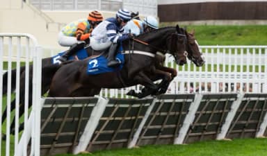 Friday's Horse Racing Tips: Ascot, November 22nd