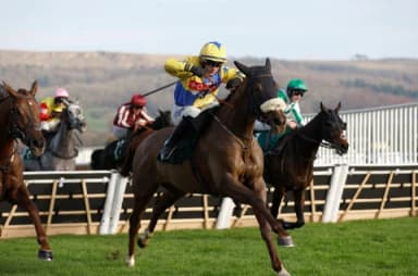 Sunday’s Horse Racing Tips: Cheltenham, November 17th