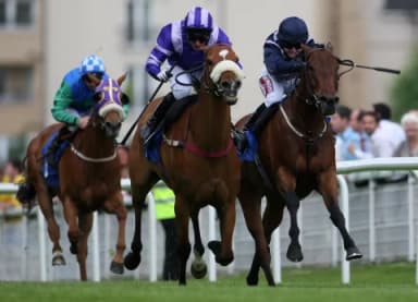 Today's Horse Racing Tips: Sunday May 8th