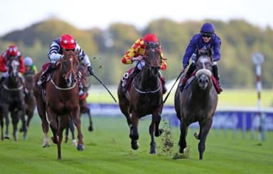 Saturday's Horse Racing Tips: November 20th