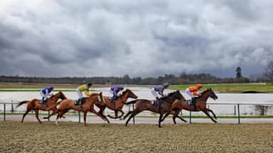 Monday's Horse Racing Tips: Lingfield, January 13th