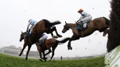 Friday's Horse Racing Tips: Newbury, February 28th
