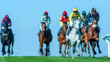 Thursday's Horse Racing Tips: Brighton, October 17th