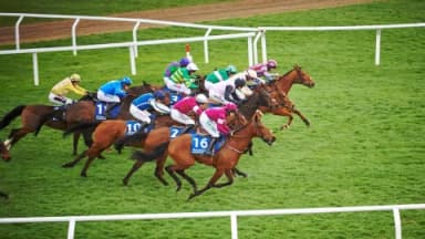 Preparing for the NH season and 10 bettingexpert hints for more successful punting