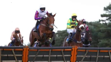 Today’s Horse Racing Tips - January 29th