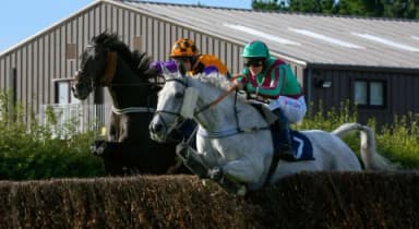 Sunday’s Horse Racing Tips: Fontwell, January 26th