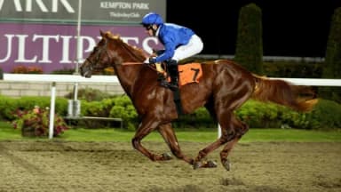 Friday's Horse Racing Tips: Kempton, February 7th