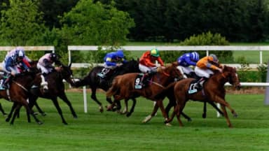 Saturday’s Horse Racing Tips: Newbury, Leopardstown, December 28th