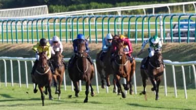 Sunday’s Horse Racing Tips: Lingfield, January 12th