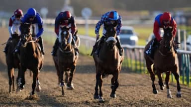 Friday's Horse Racing Tips: Lingfield, January 31st