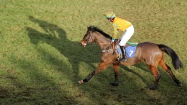 Thursday's Horse Racing Tips: Ludlow, February 27th