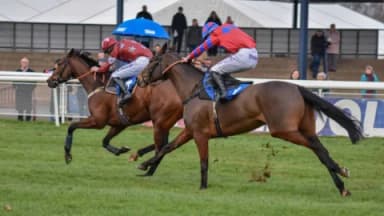 Today’s Horse Racing Tips - Ludlow, February 19th