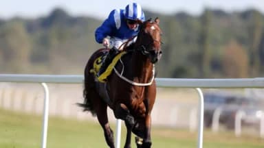 Thursday's Horse Racing Tips: Newbury, January 9th
