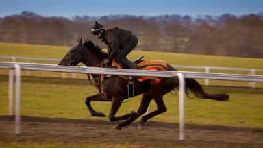 Wednesday's Horse Racing Tips: Newmarket, October 23rd