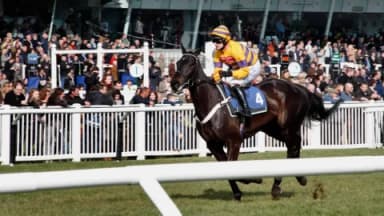 Thursday's Horse Racing Tips: Stratford, October 31st