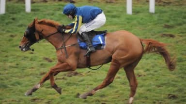 Thursday's Horse Racing Tips: Taunton, December 12th