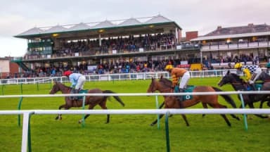 Tuesday's Horse Racing Tips: Warwick, November 5th
