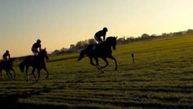 Saturday’s Horse Racing Tips: Wincanton, Doncaster, Aintree, November 9th