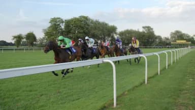Friday's Horse Racing Tips: Windsor, January 17th