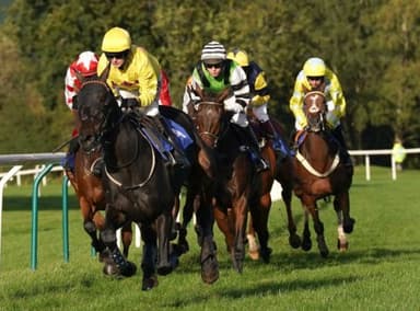 Today's Horse Racing Tips: Monday December 6th