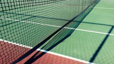 Monday Tennis Best Bet: WTA Cincinnati, Leylah Fernandez vs Ekaterina Alexandrova