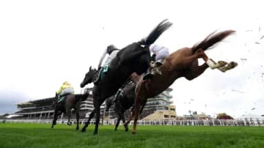Saturday’s Horse Racing Tips: Cheltenham, Doncaster, January 25th