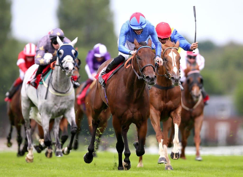 Today's Horse Racing Tips: Saturday March 12th