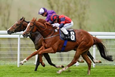 Saturday's Horse Racing Tips: Goodwood, Newmarket July 30th