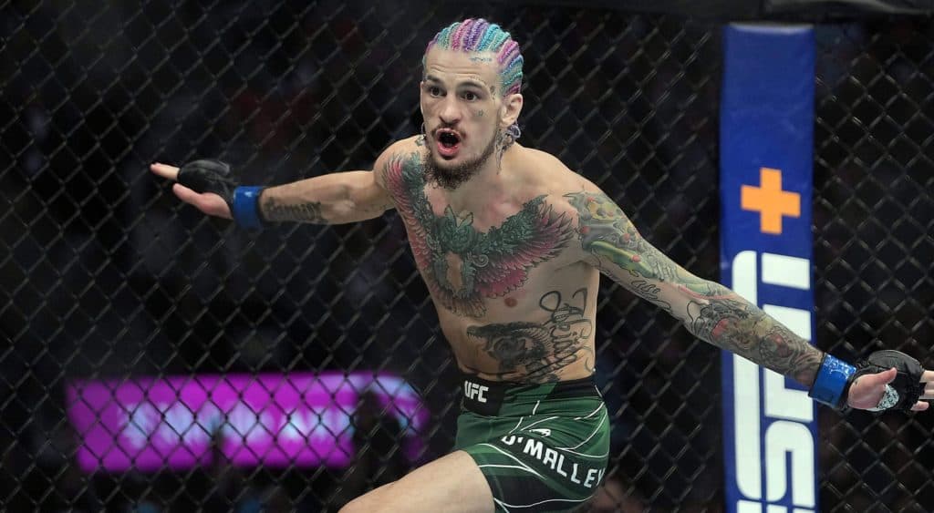 Sean O’Malley vs Marlon Vera 2 Prediction, Preview, Odds, Stats for UFC 299